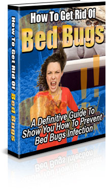 How To Get Rid Of Bed Bugs